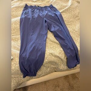 Tommy Bahama joggers